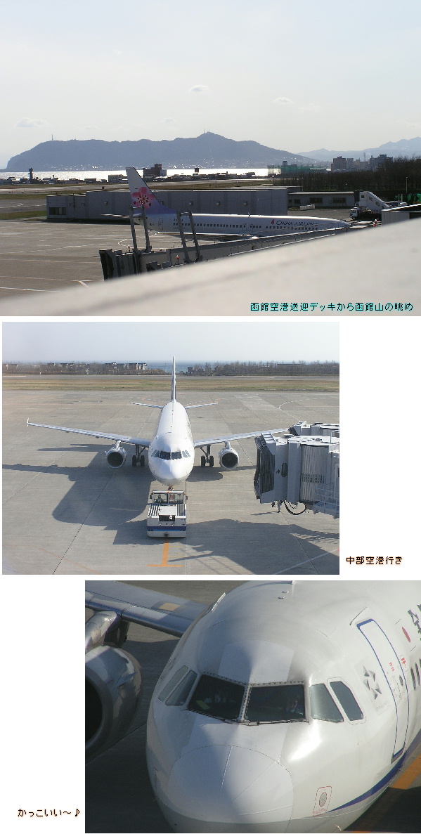 飛行場大好き♪ホントは乗りたい...