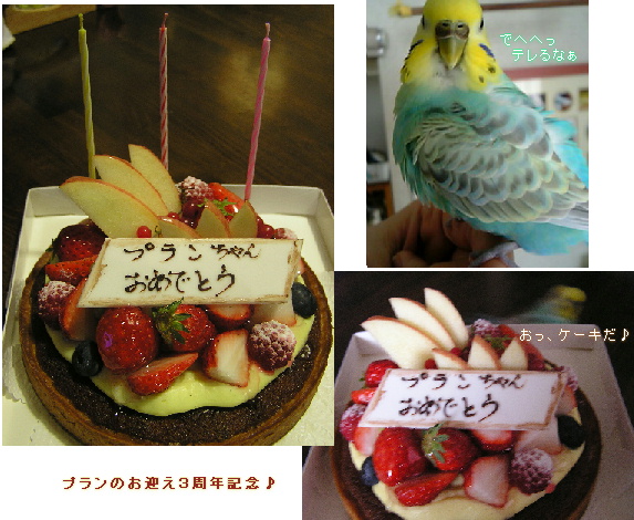 お迎え３周年記念日