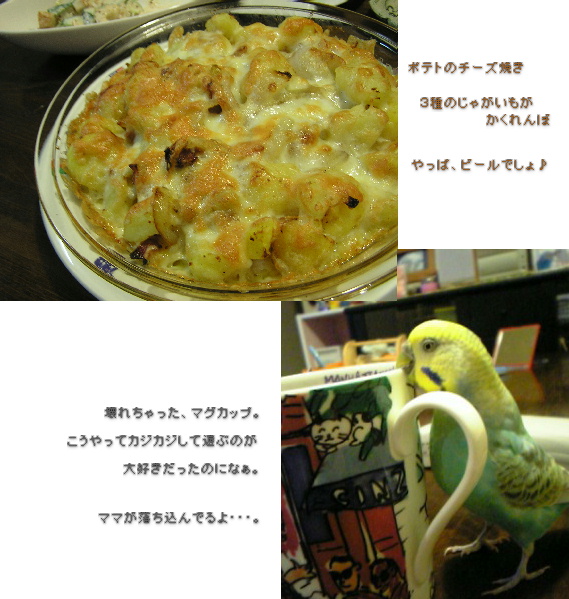 形あるものはいつか壊れる・・・...