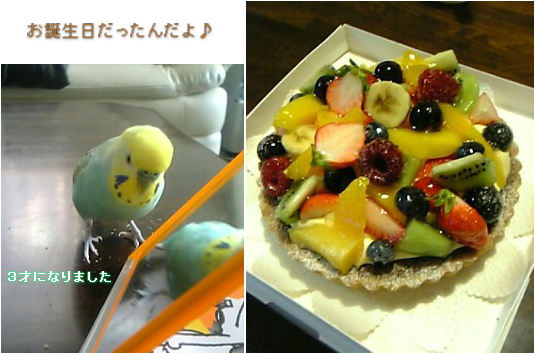 フルーツタルトでお誕生会