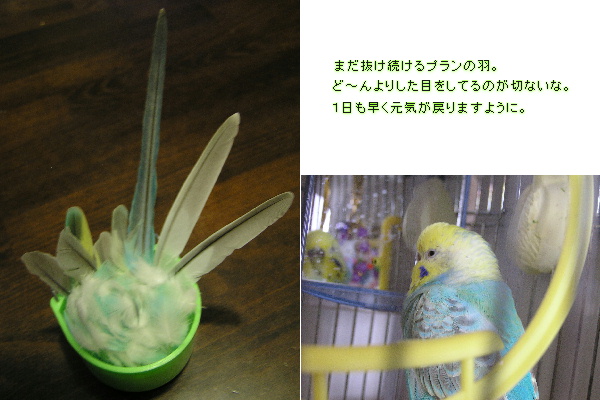 ある意味、産みの苦しみ