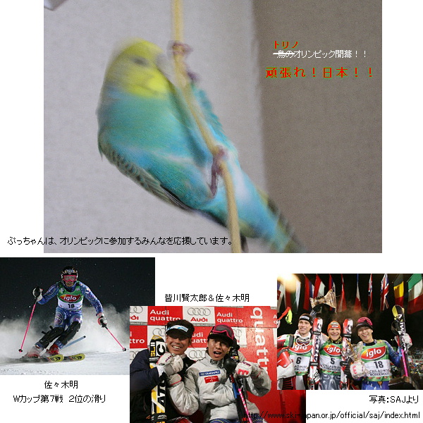 トリノ五輪開幕。佐々木明応援す...