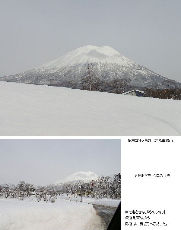 湧き水目指して羊蹄山麓へドライ...