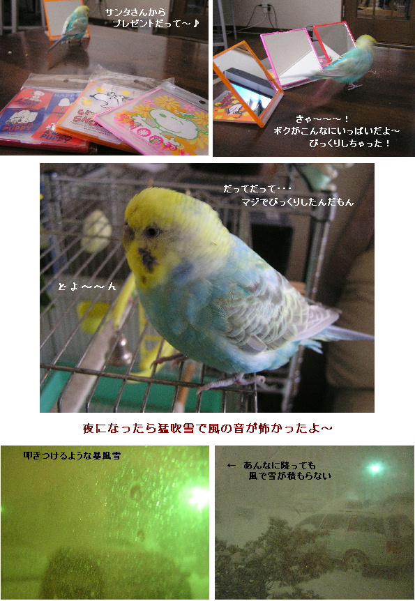 Wびっくりスマスだった25日