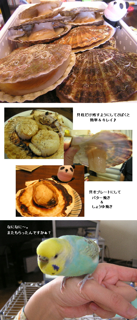 ホタテは今年の終わりを告げる使...