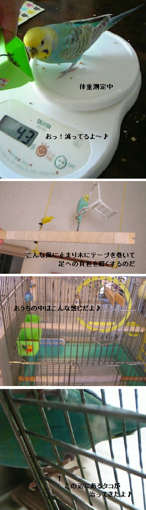 ダイエット好調進行中だもん♪