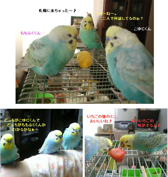 同じ色のお友達♪