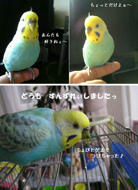 加トちゃんに憧れて
