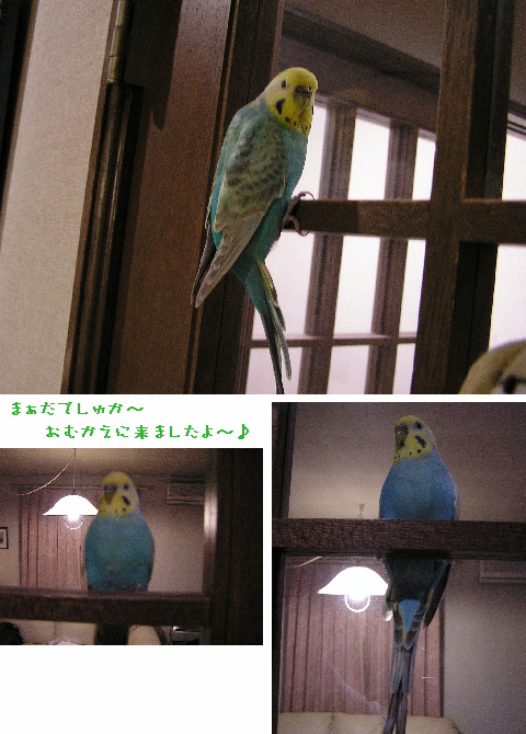 お迎えプラン