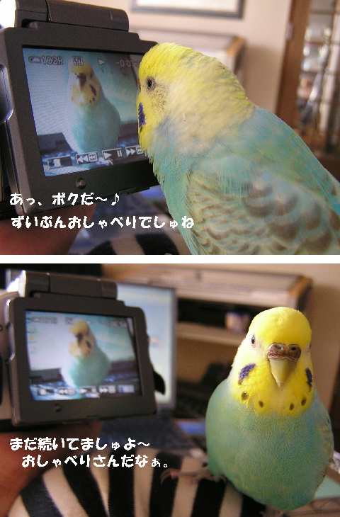 ハッスル、ハッスル♪
