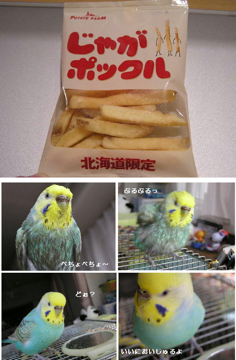北海道土産　じゃがポックル編