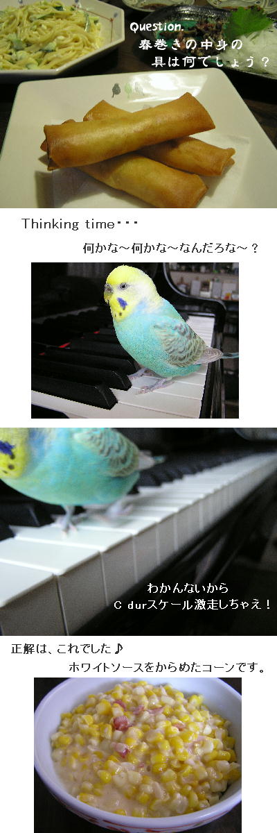 これでもか〜これでもか〜