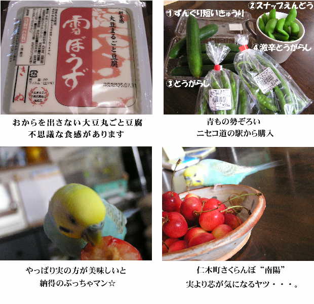 羊蹄山麓の恵たち