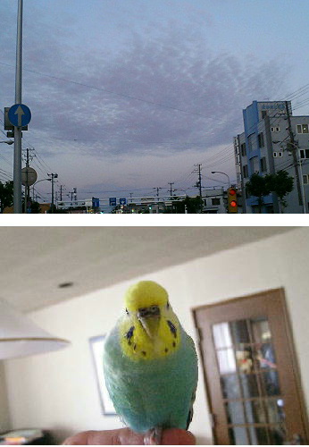 キレイだけど変な空
