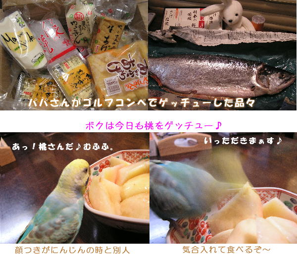 大漁（大量）大歓迎♪
