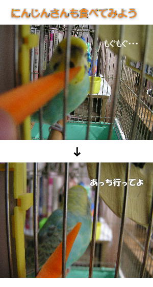 だから、にんじんは嫌いなんだっ...