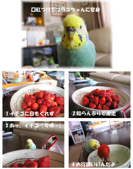 誉められないイチゴ