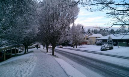 It is cold today