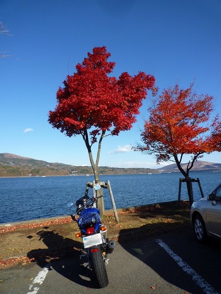山中湖は紅葉していました。