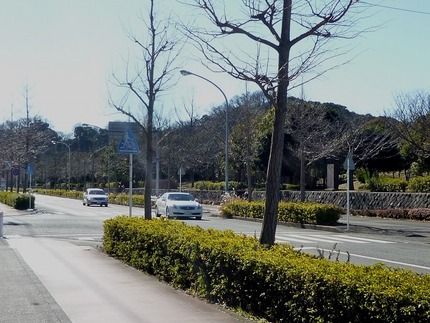 税務署の前ですが、ここは昔 海...