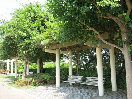 ランチをする公園のベンチ 今日...