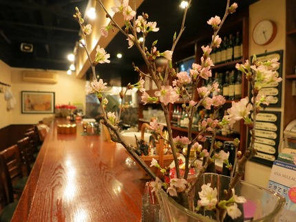 本物の桜です。