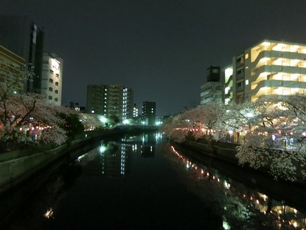 2014.4.2 横浜・大岡川...