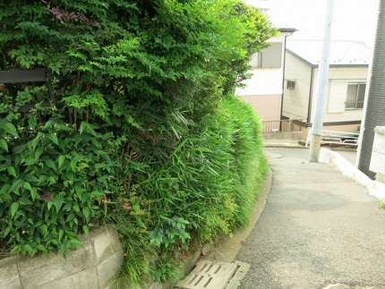 カット前