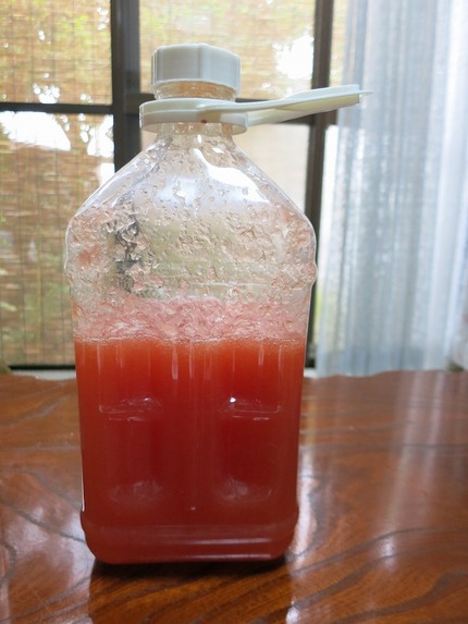 即席酵素ジュース作成