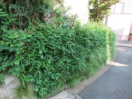 Cut 前