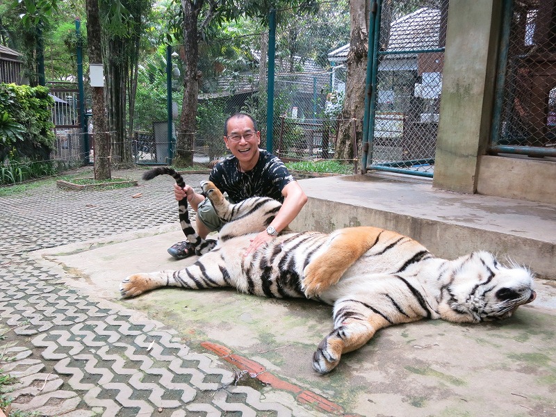 Taiger Kindam