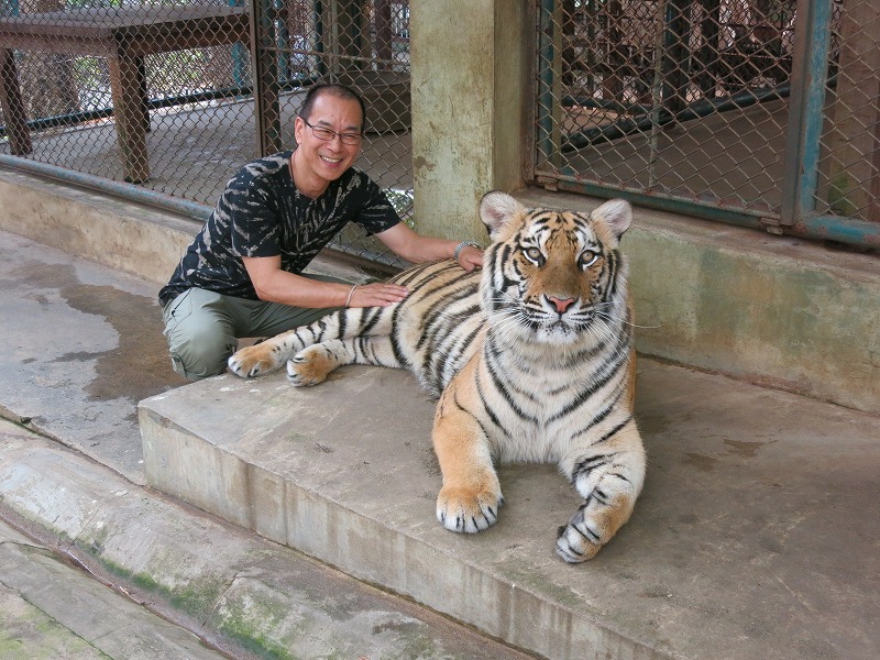 Taiger Kindam