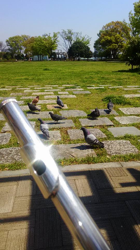 2016.4.27 野毛山公園...
