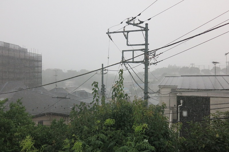 2016.7.4 横浜にスコー...