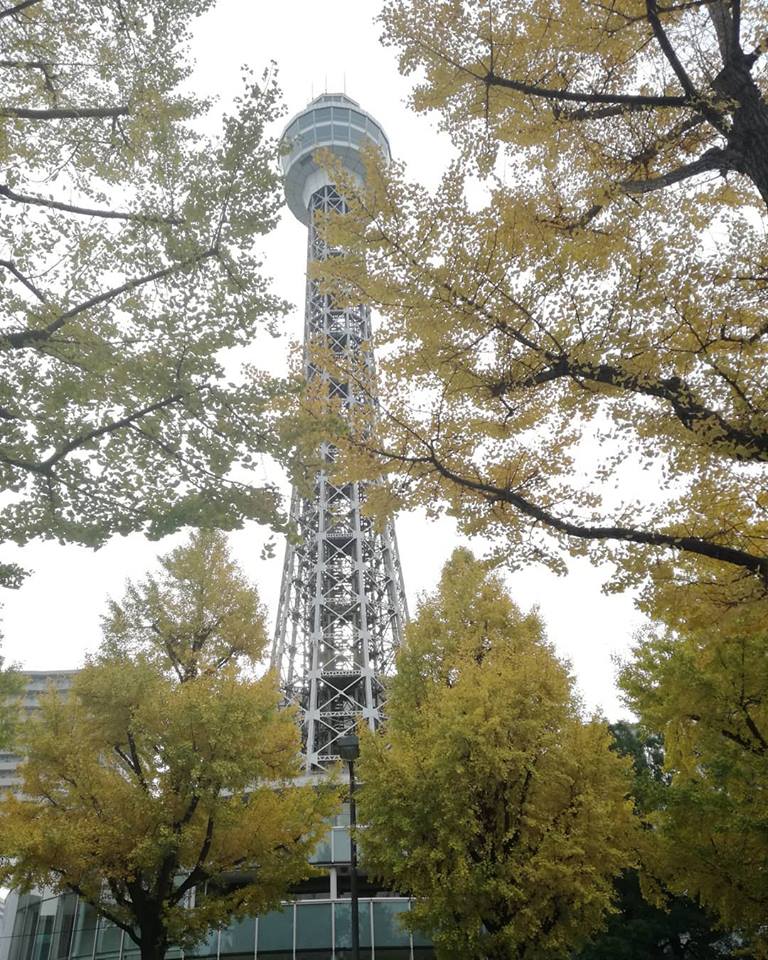 2018.11.26 山下公園...