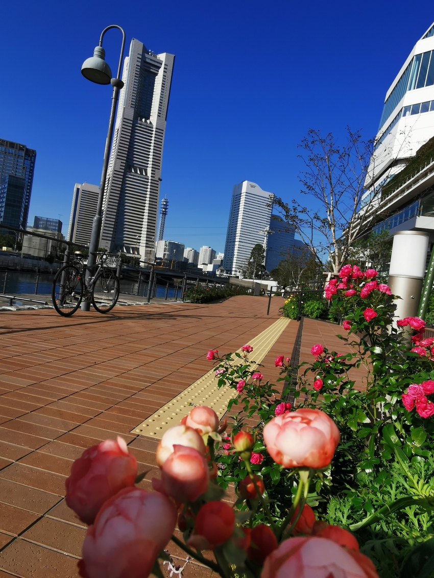 新しい横浜市庁舎の1階には「ラ...