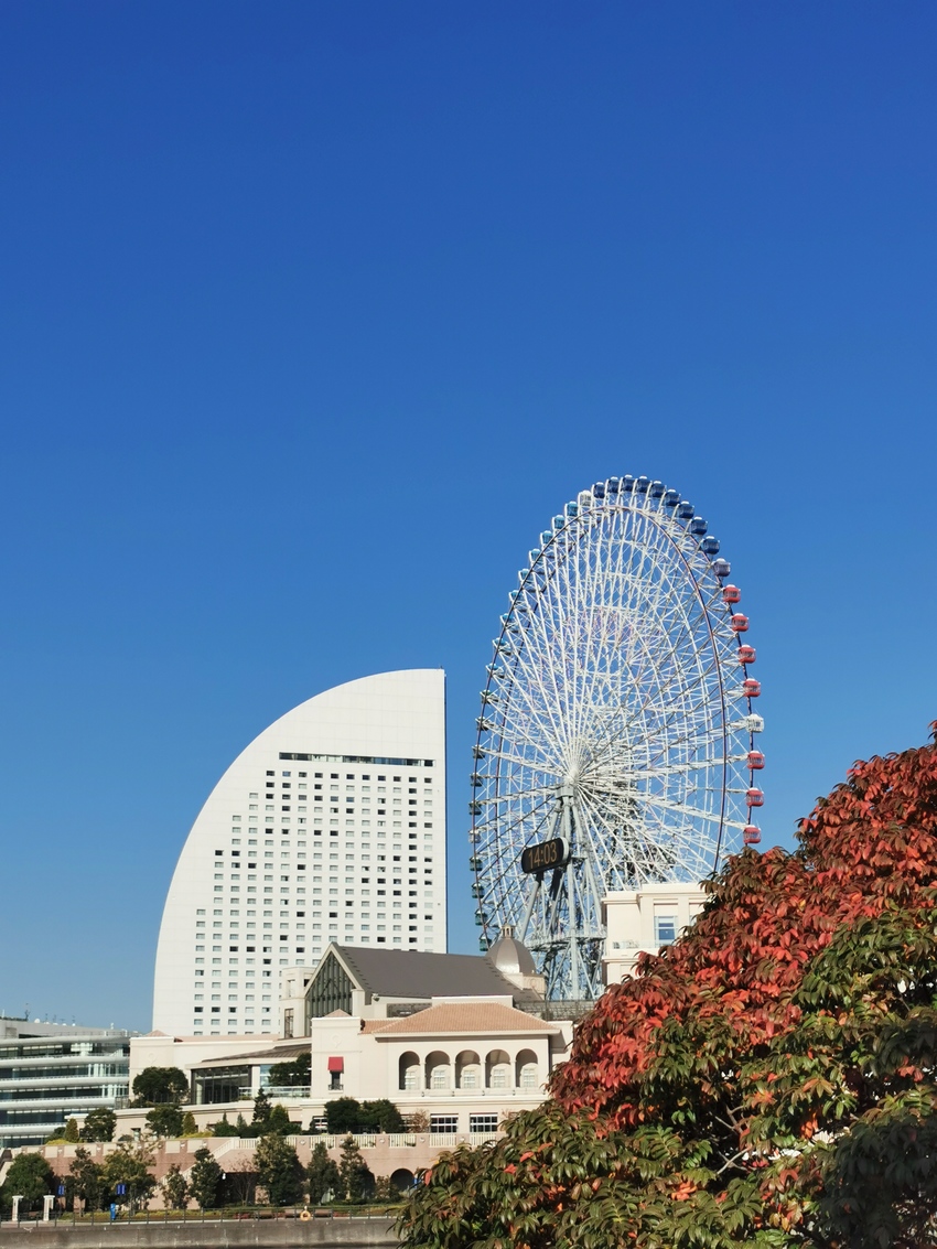 2020.11.13 横浜ポタ...