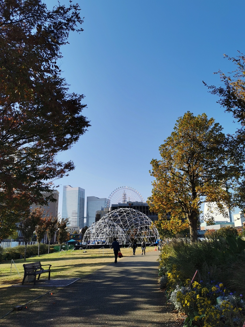 2020.11.13 横浜ポタ...