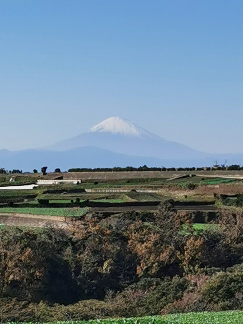 三浦からの富士山