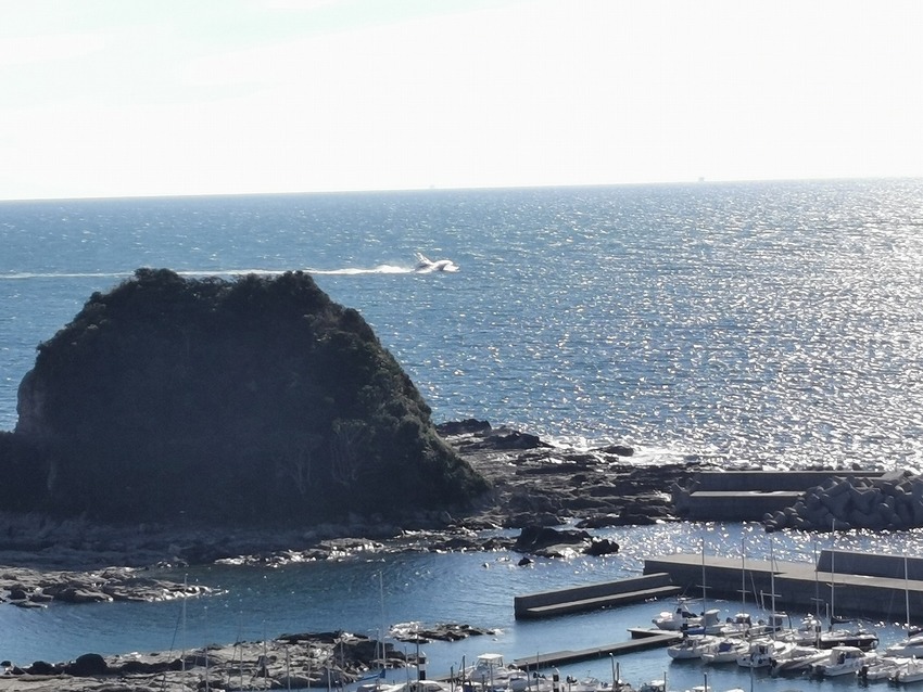 みうら宮川フィッシャリーナ