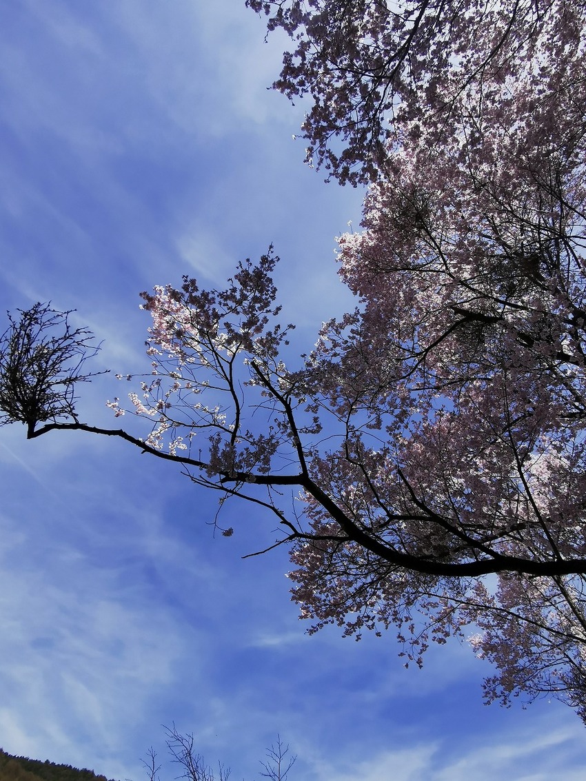 2022.4.12-13 長野...