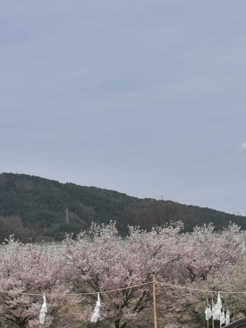 2022.4.12-13 長野...