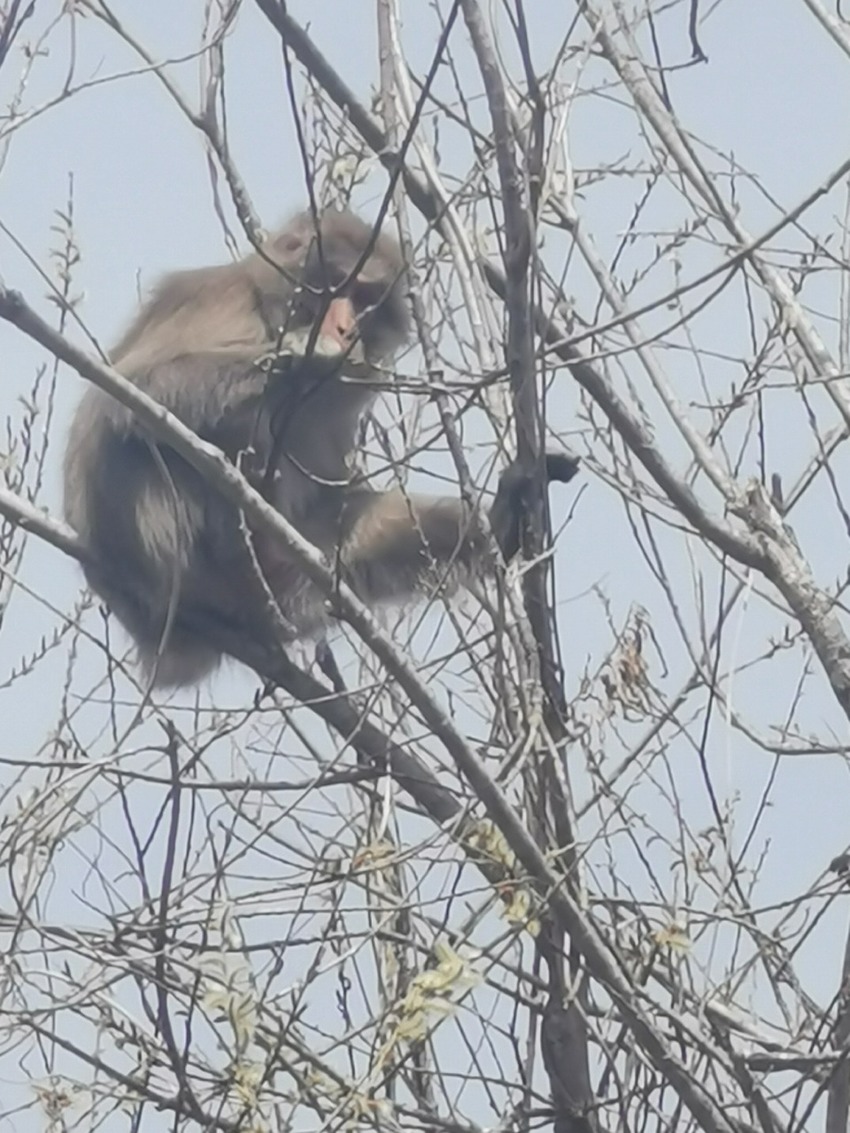 2022.4.12-13 長野...