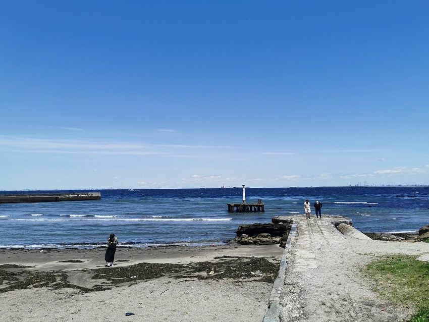 観音崎の海