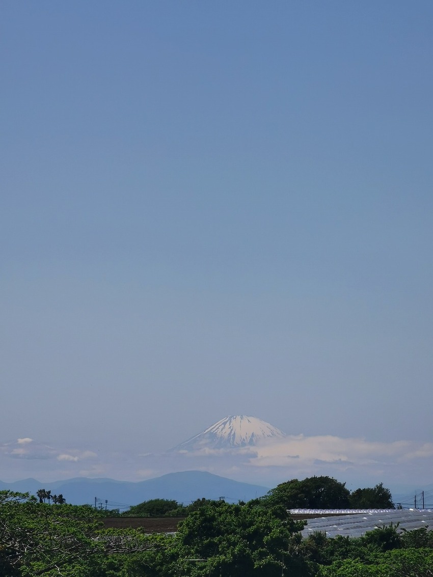 宮川公園手前の畑の前から富士山...