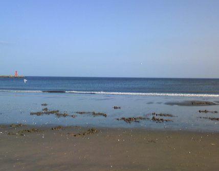 海に行ってきました
