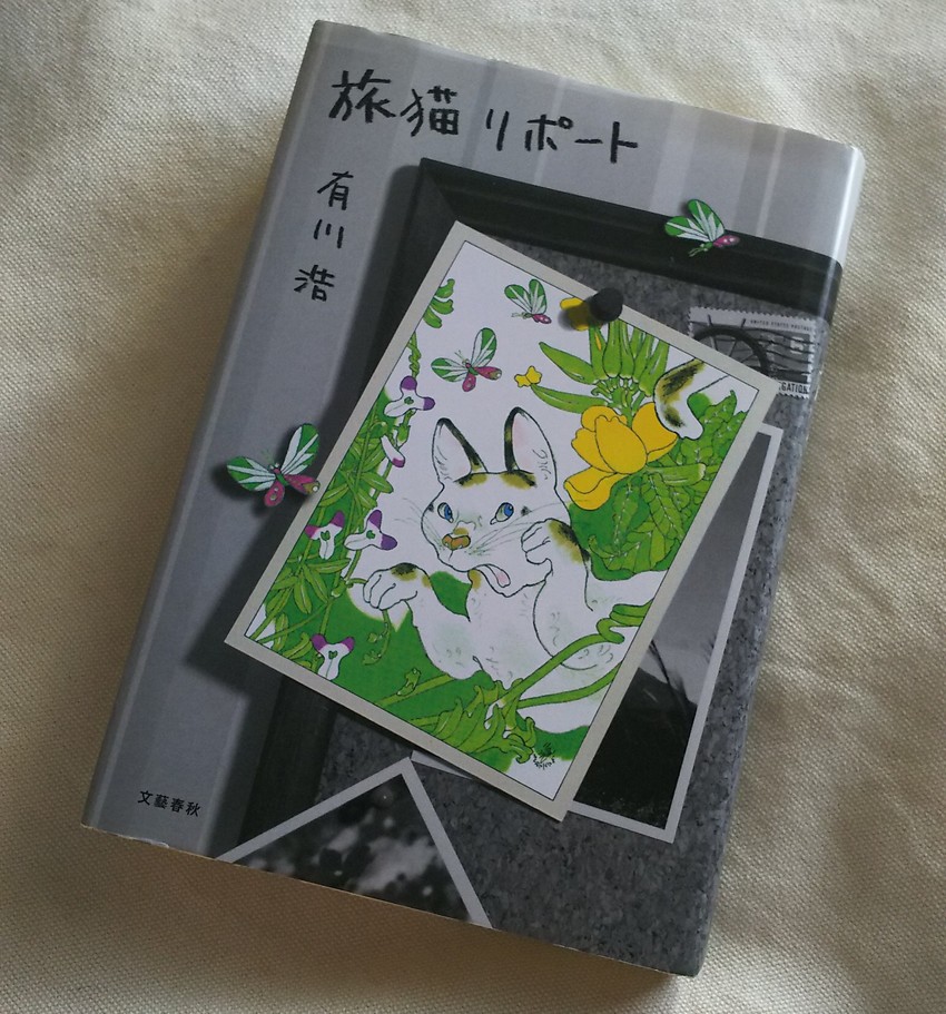 ほんわかとしてホロリと来る動物...