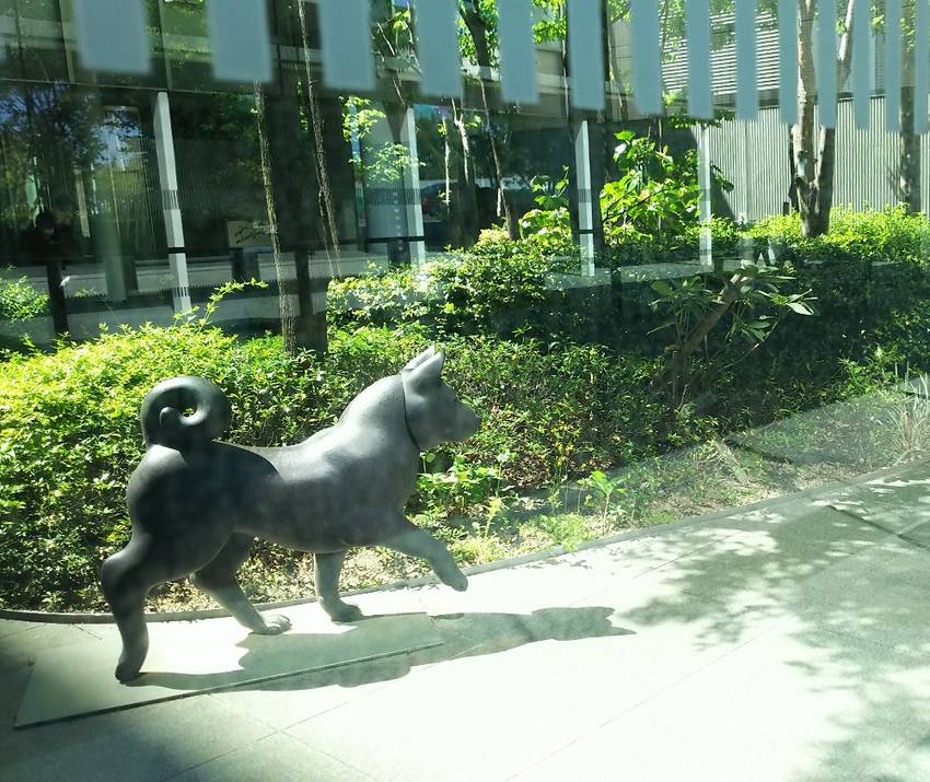 タイトルは確か 犬も歩けば だ...