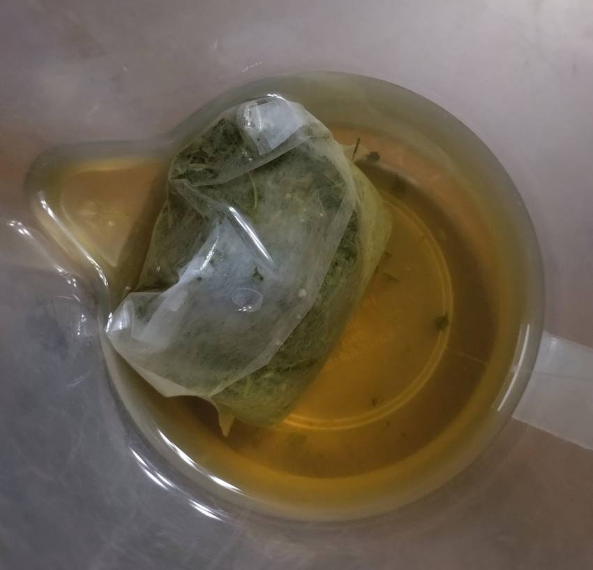 本日のお茶。緑茶