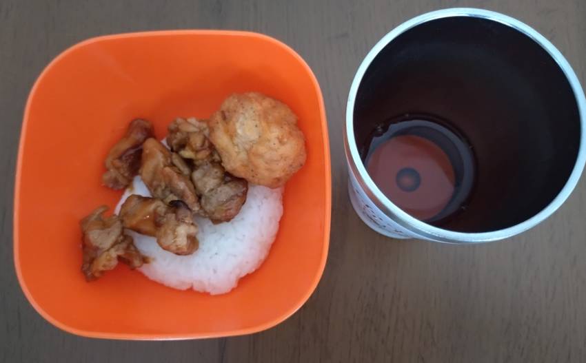 今日のごはん。お昼焼き鳥とか